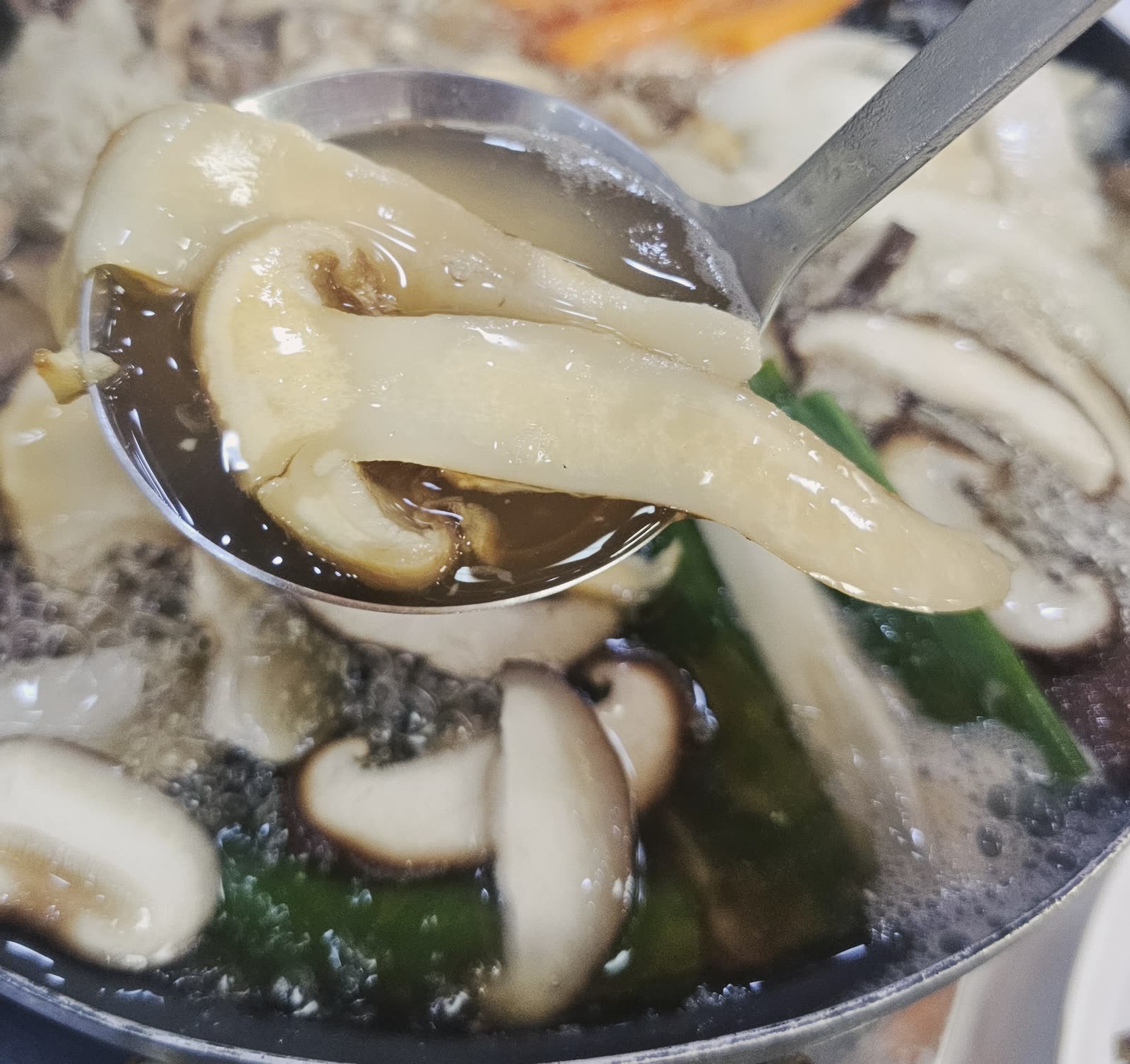 송이버섯전골이 끓는 모습, 국자 위에 두툼한 송이버섯 슬라이스가 올라간 클로즈업