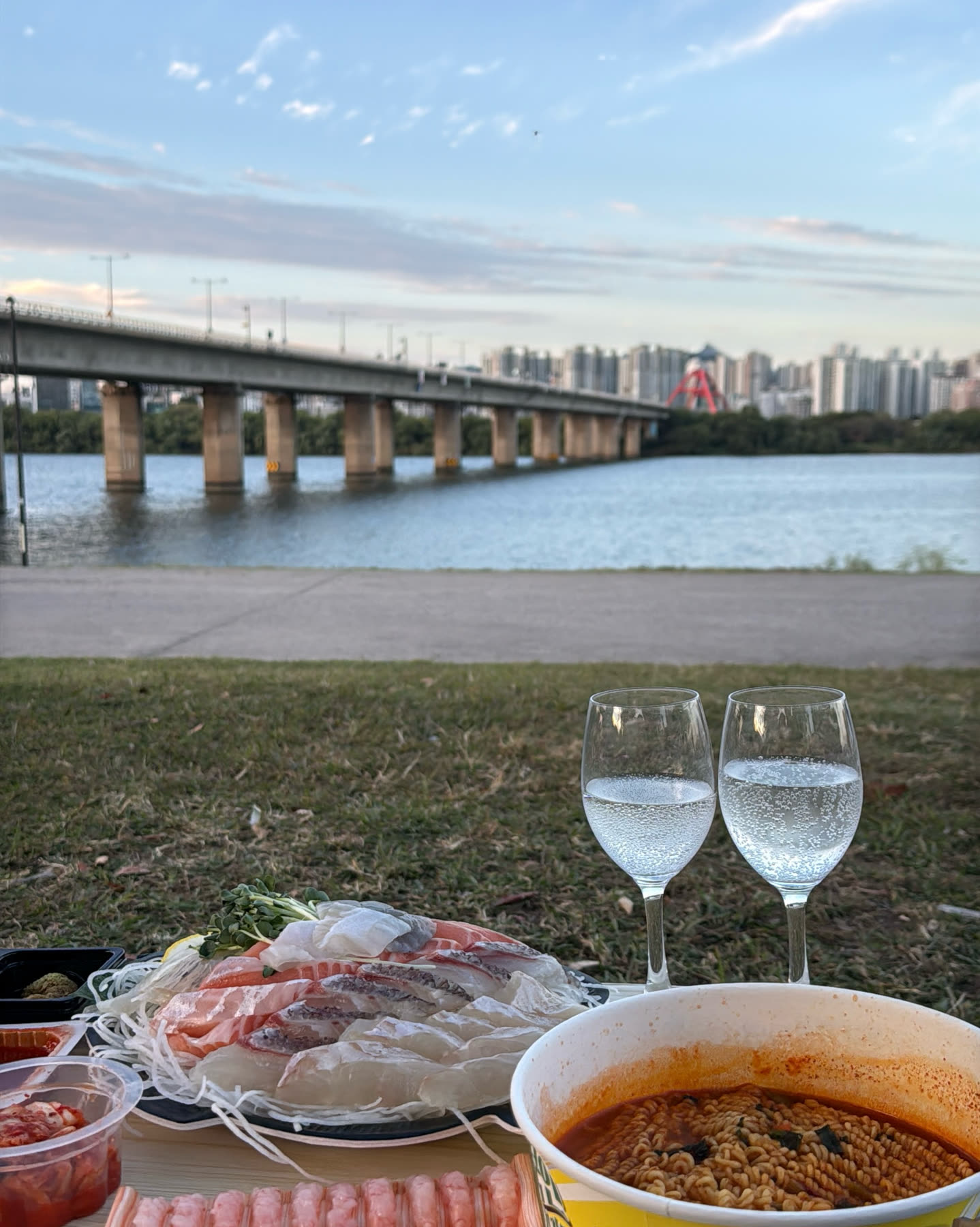 한강 다리 전망이 보이는 잔디밭에서 즐기는 회크닉 세팅
