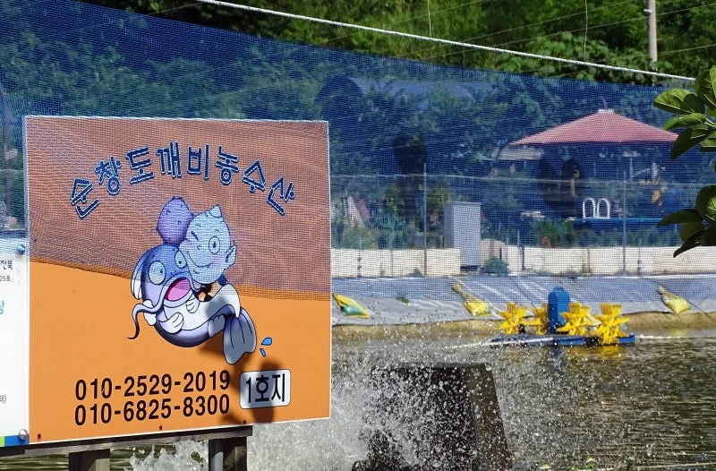 순창 도깨비농수산 간판과 양식장