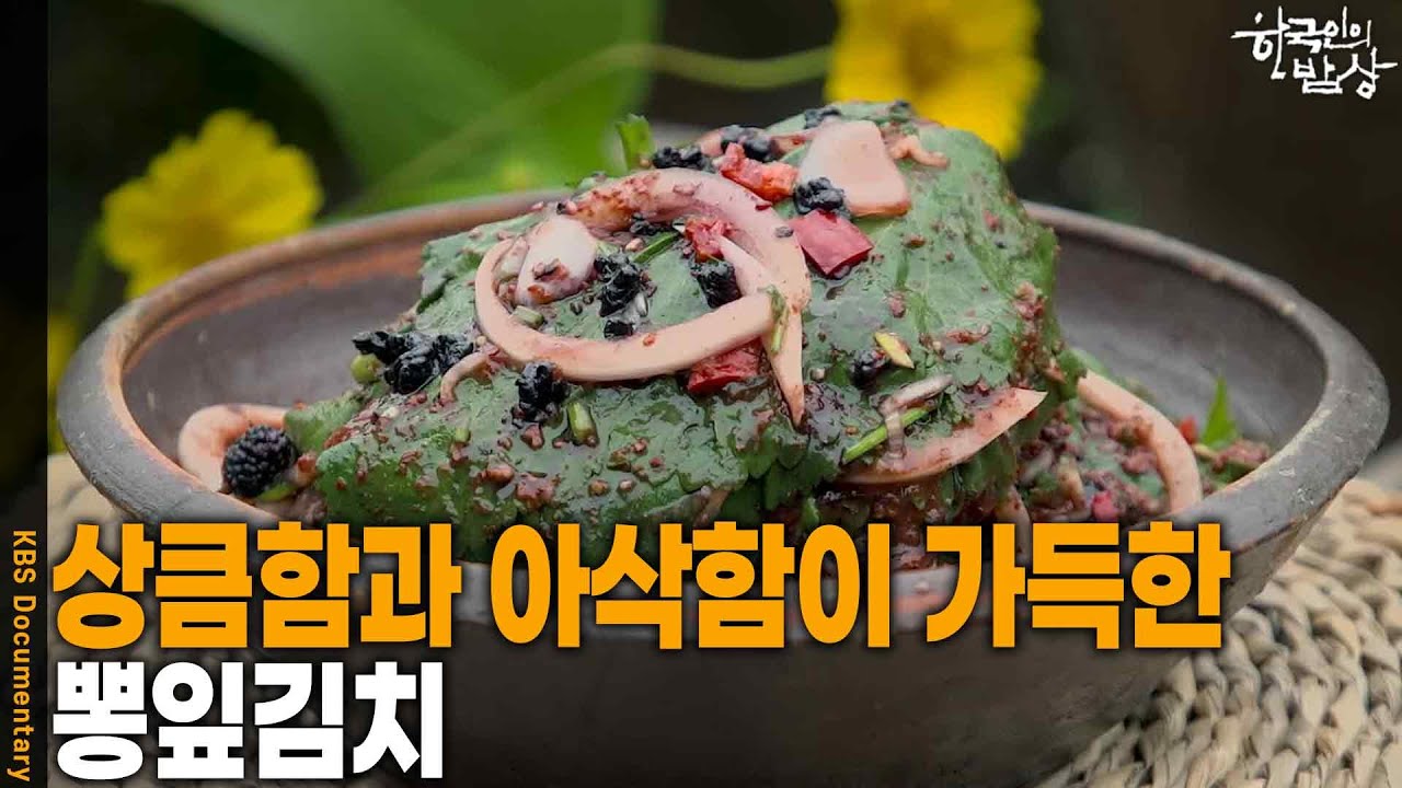 한국인의 밥상에 소개된 부여 뽕잎김치, 오디 알갱이가 박힌 초록 뽕잎 위에 양념이 올라간 모습