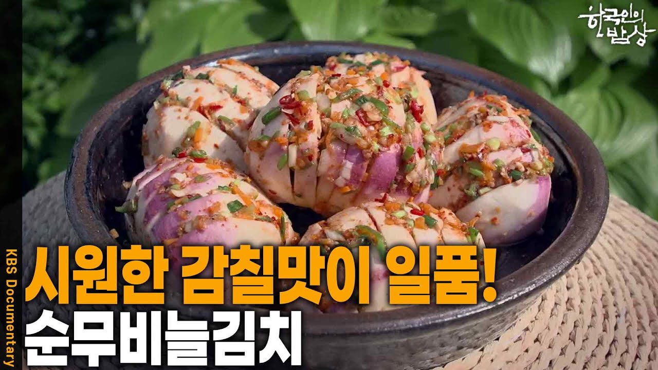 한국인의 밥상에 소개된 강화 순무비늘김치, 보라빛 도는 순무에 칼집을 내고 양념을 박은 모습