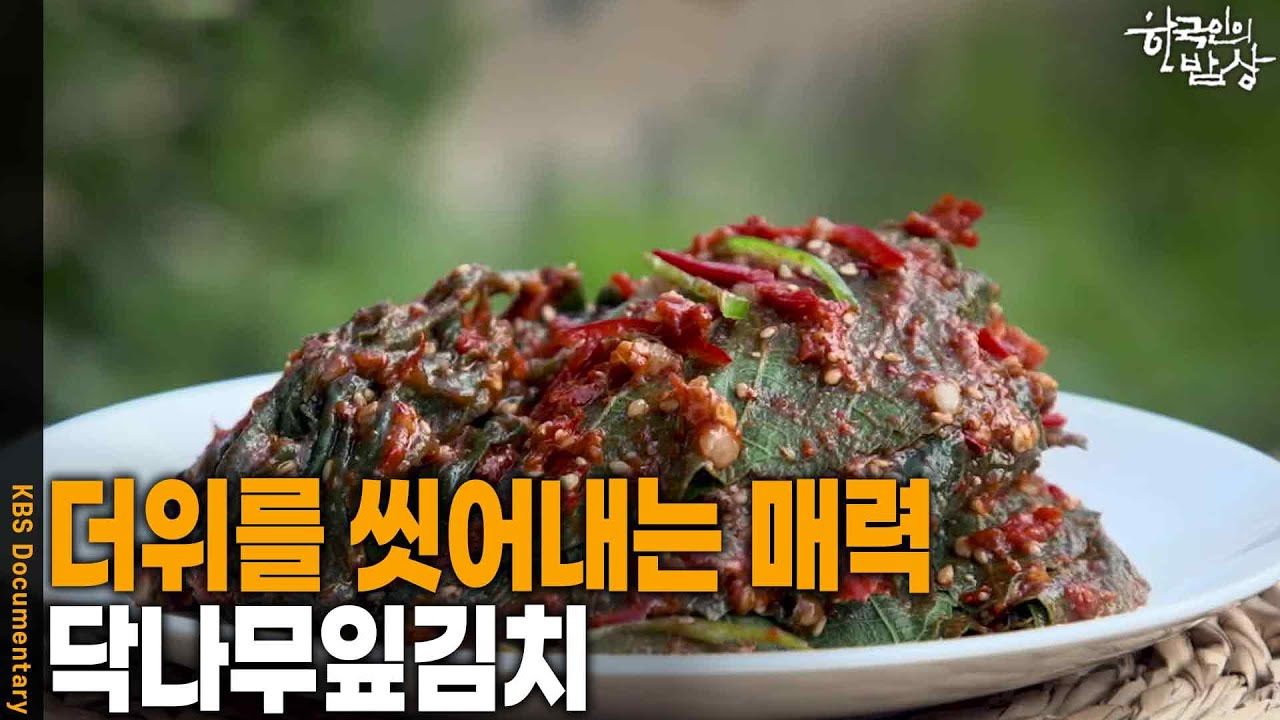 한국인의 밥상에 소개된 마곡사 닥나무잎김치, 양념을 입힌 닥나무 잎을 접시에 담은 모습