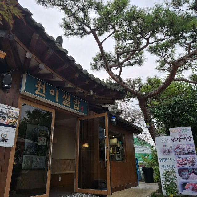소나무가 드리워진 이천쌀밥 원이쌀밥 한옥 외관